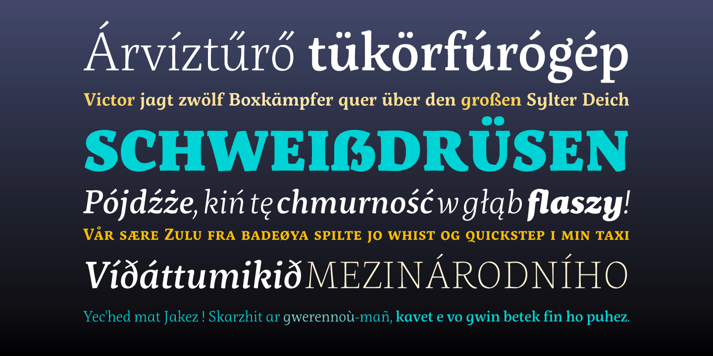 Servus Slab Thin Italic Font preview